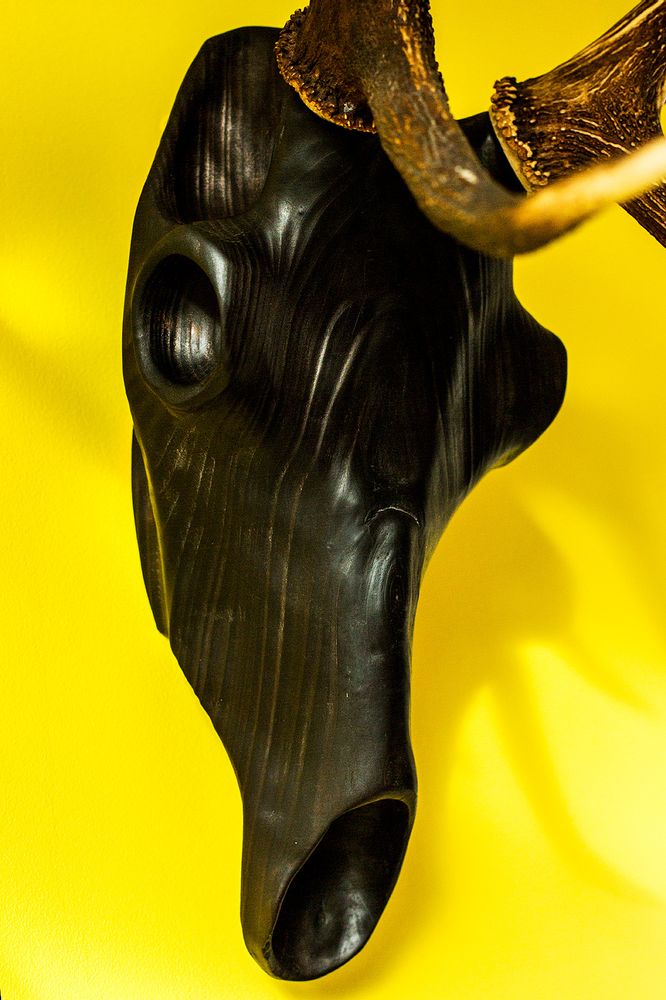 Pièces uniques - Sculptures de crâne d'animaux en bois. - ATELIER PEV / PATRICK EVESQUE