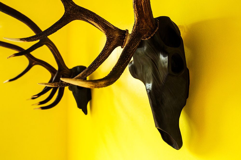 Pièces uniques - Sculptures de crâne d'animaux en bois. - ATELIER PEV / PATRICK EVESQUE