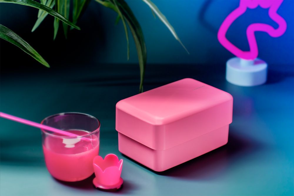 Boîtes de conservation - BENTO NIBBLE - TAKENAKA BENTO BOX