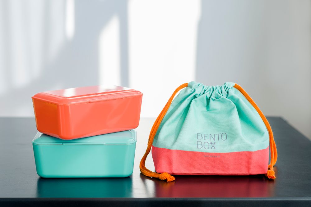 Boîtes de conservation - SAC pour BOÎTE à BENTO - TAKENAKA BENTO BOX