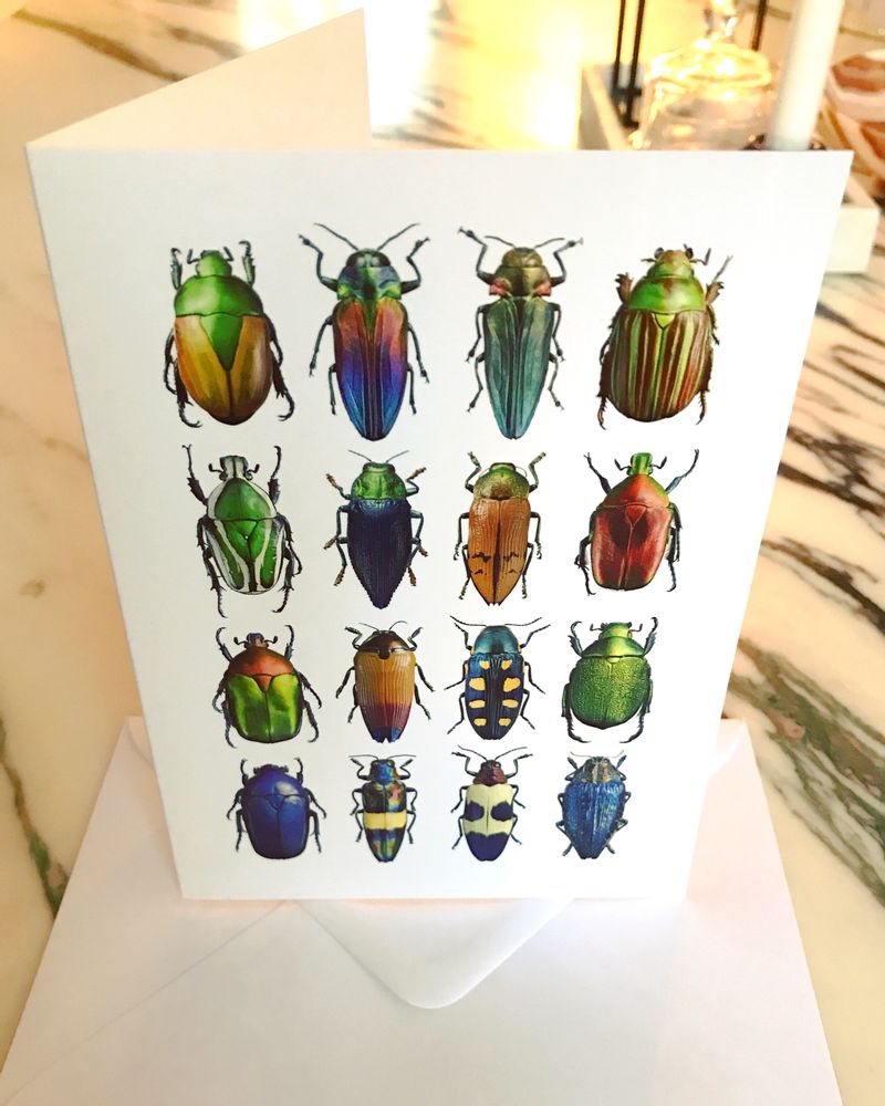 Carterie - Carte de vœux - LILJEBERGS