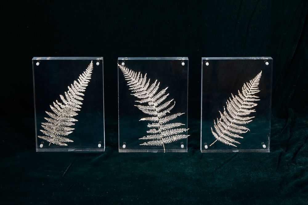 Floral decoration - Small fern - ATELIER AVENET