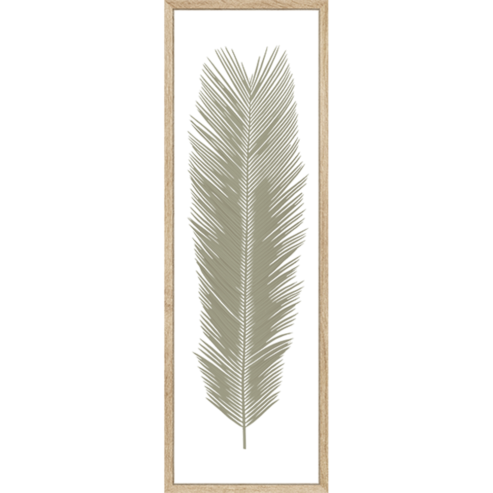 Cadres - Herbier Tropical Cycas - Encadrement Chêne -120x40 cm - ATELIER GERMAIN