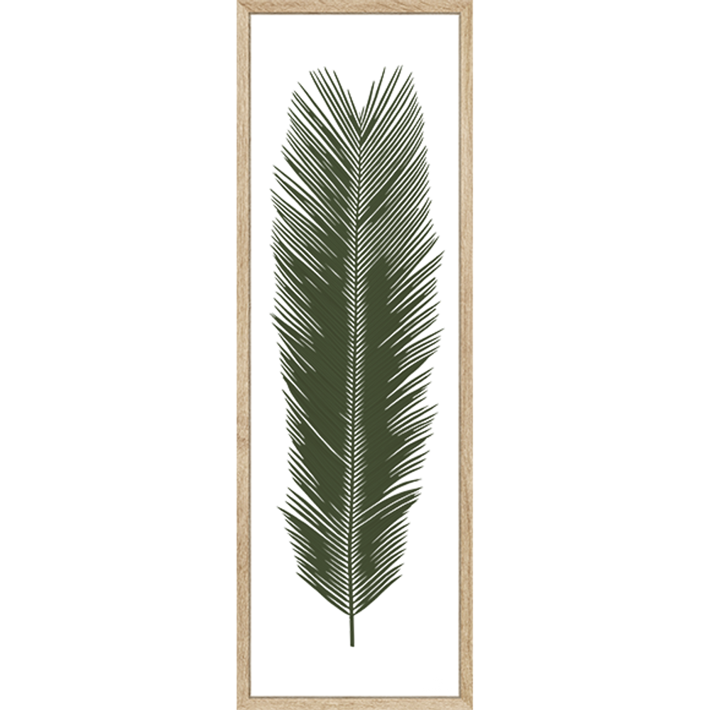 Cadres - Herbier Tropical Cycas - Encadrement Chêne -120x40 cm - ATELIER GERMAIN