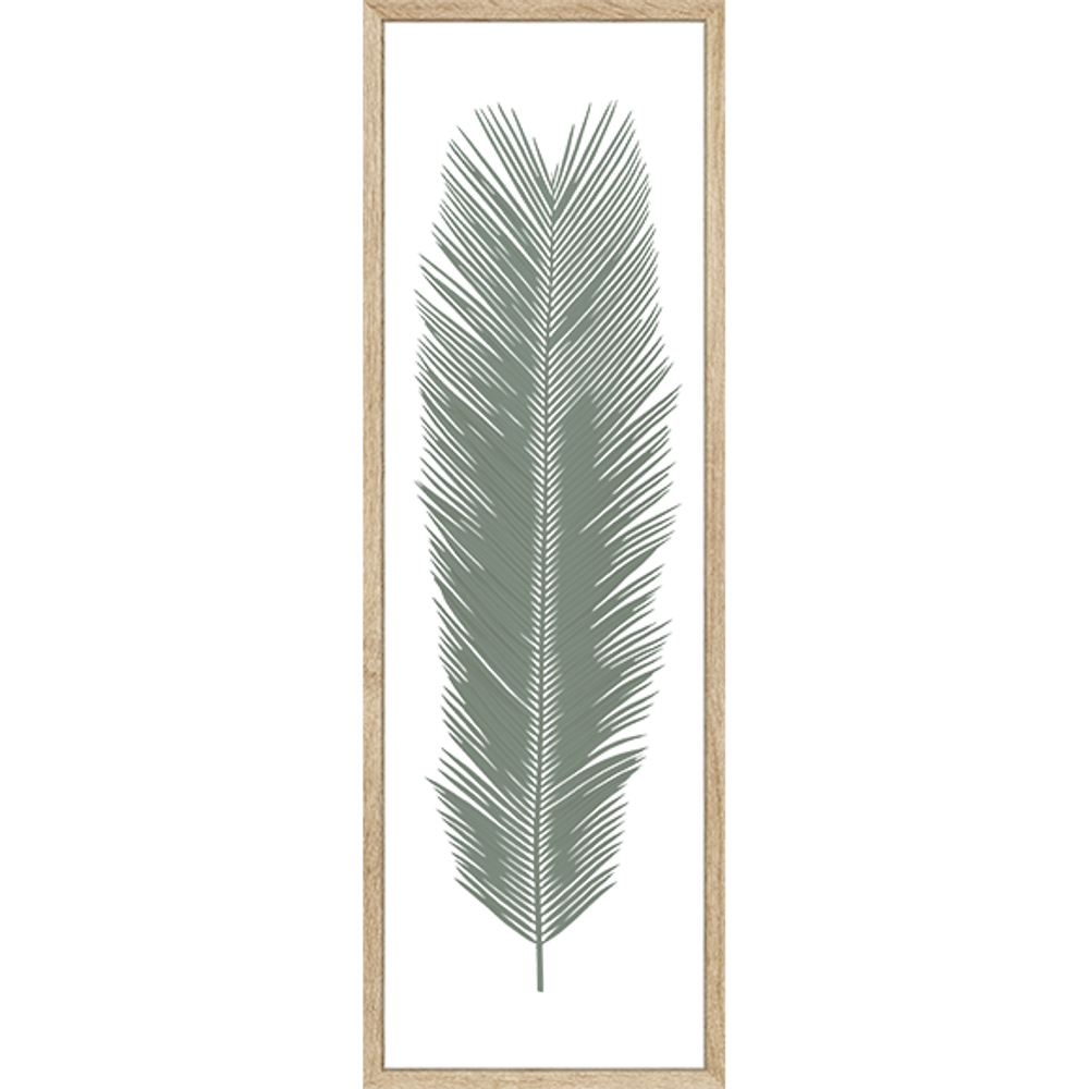 Cadres - Herbier Tropical Cycas - Encadrement Chêne -120x40 cm - ATELIER GERMAIN