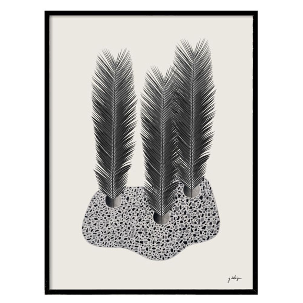 Cadres - Herbier tropical Cycas « CANYON » par Guillaume Delvigne - ATELIER GERMAIN