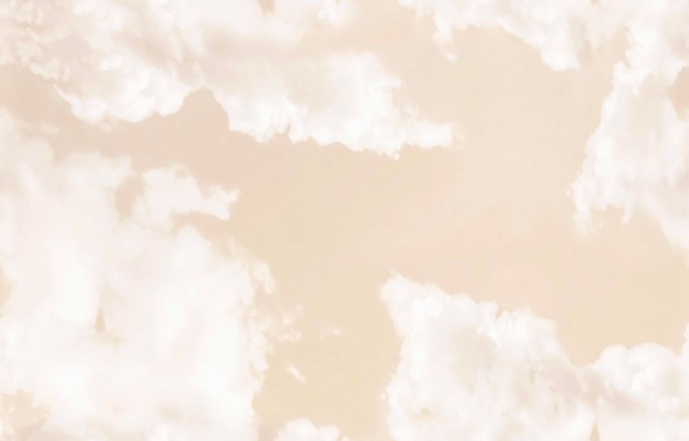 Other wall decoration - Wallpanel Cumulus Sable - PAPERMINT