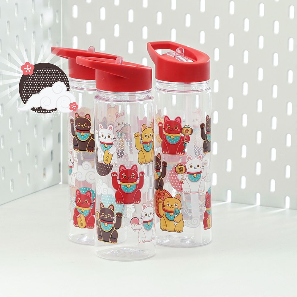Cadeaux - Bouteilles et flasques - PUCKATOR LTD