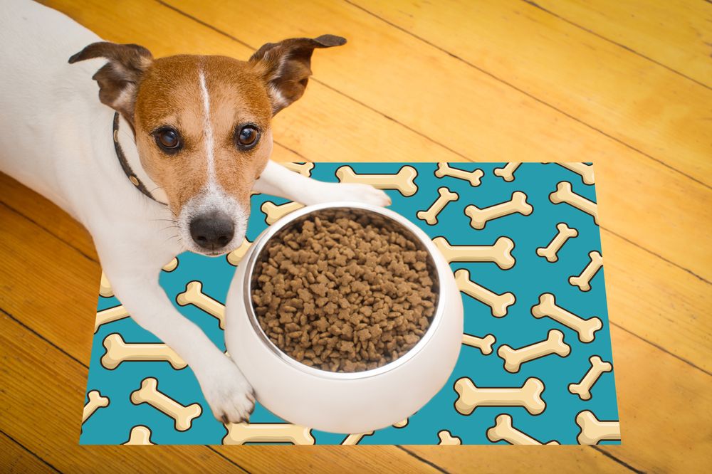 Rugs - Pet's food mat - CONTENTO
