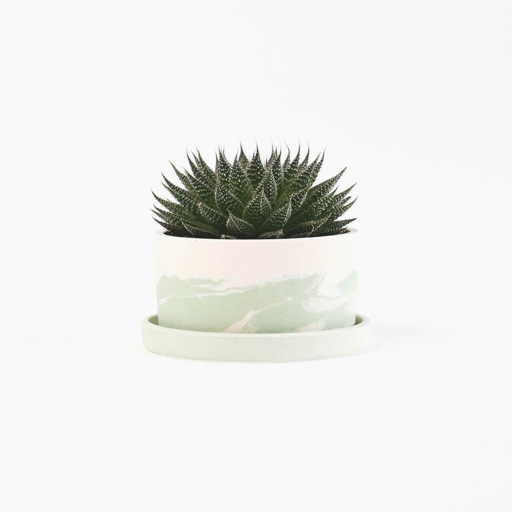 Objets design - Grand pot pour plantes - STUDIO ROSAROOM