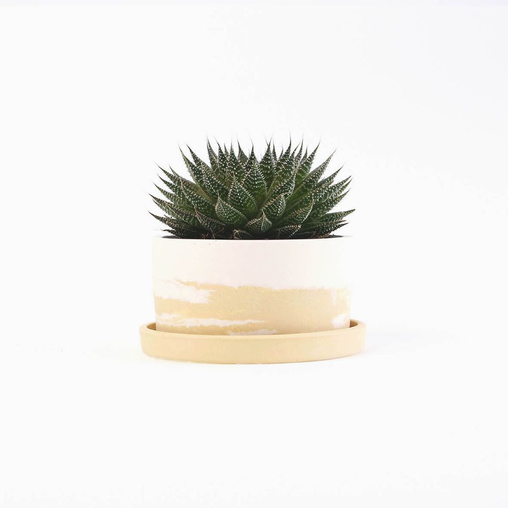 Objets design - Grand pot pour plantes - STUDIO ROSAROOM