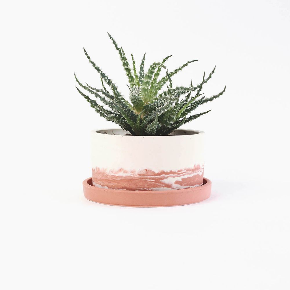 Objets design - Grand pot pour plantes - STUDIO ROSAROOM