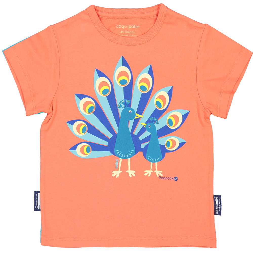 Vêtements enfants - T shirt manches courtes imprimé recto verso Toucan - COQ EN PATE