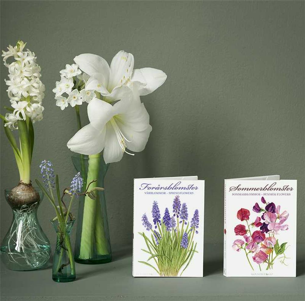 Card shop - Postcards flowers - KOUSTRUP & CO