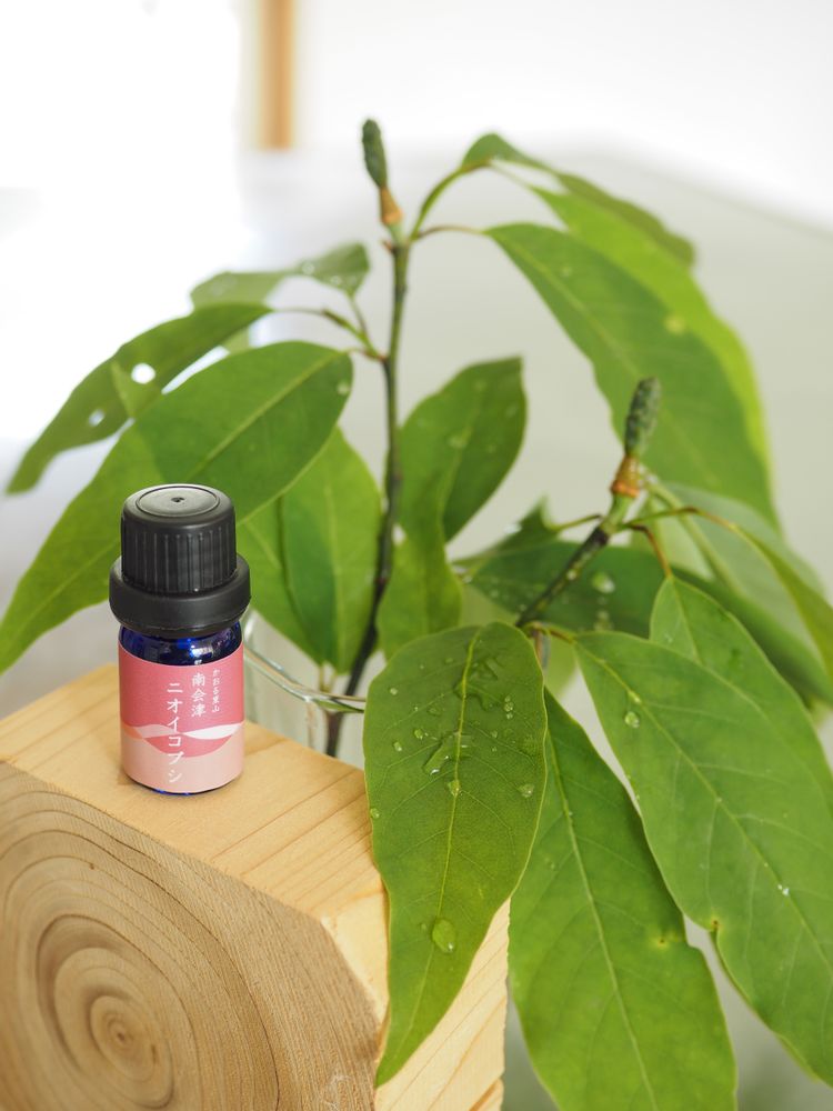 Scents - Japanese Essential Oil Nioikobushi-Magnolia kobus- 3ml - JYUHACHINICHI -18TH-