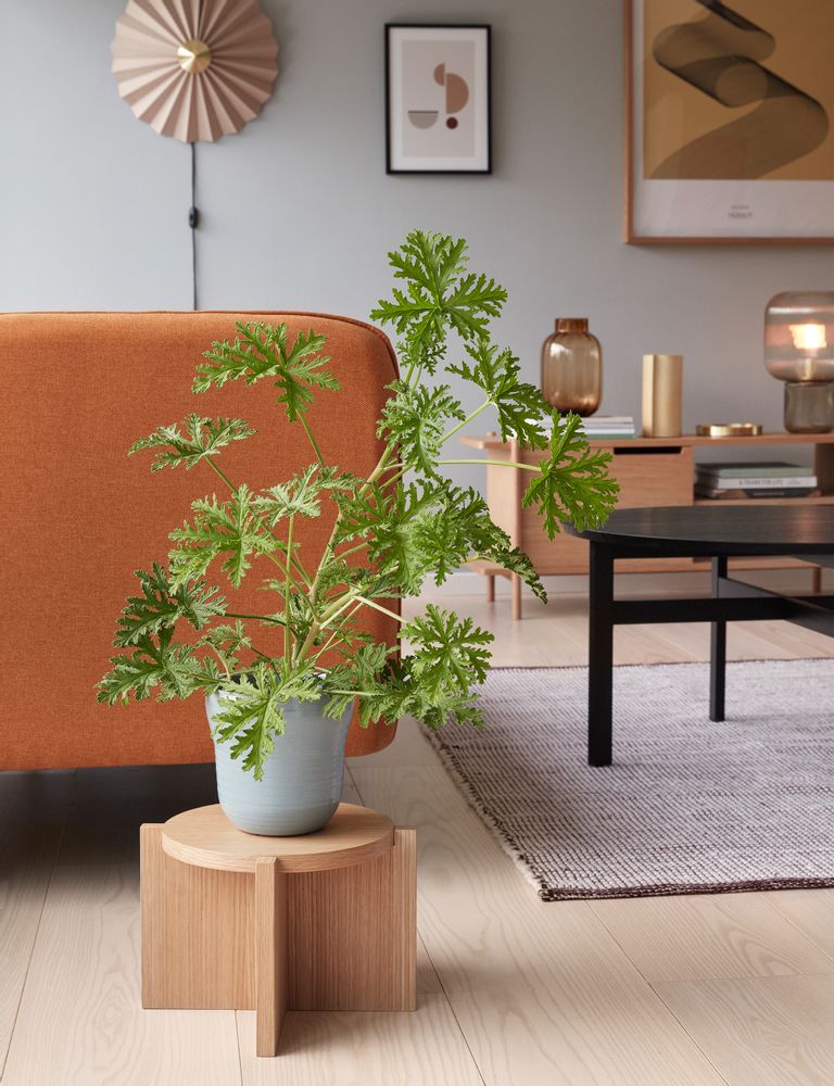 Other tables - Dresser, oak, FSC,  nature - HÜBSCH