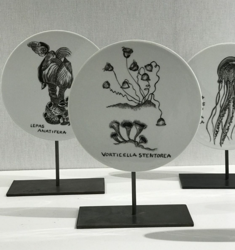 Unique pieces - FOSSIL Curiosity Disc - Vorticella stentorea - VERONIQUE JOLY-CORBIN