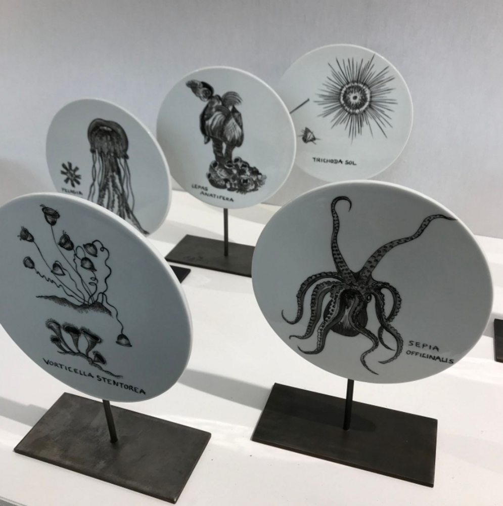 Unique pieces - FOSSIL Curiosity Disc - Vorticella stentorea - VERONIQUE JOLY-CORBIN