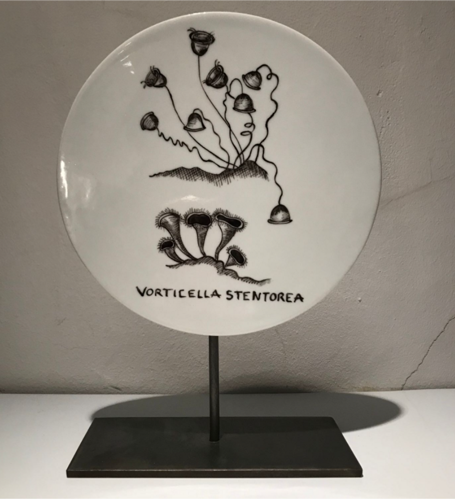 Unique pieces - FOSSIL Curiosity Disc - Vorticella stentorea - VERONIQUE JOLY-CORBIN