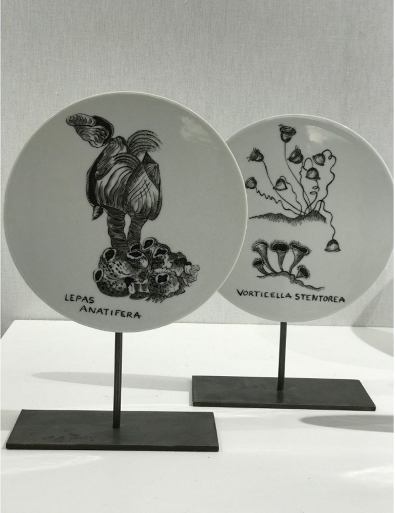 Unique pieces - FOSSIL Curiosity Disc - Vorticella stentorea - VERONIQUE JOLY-CORBIN