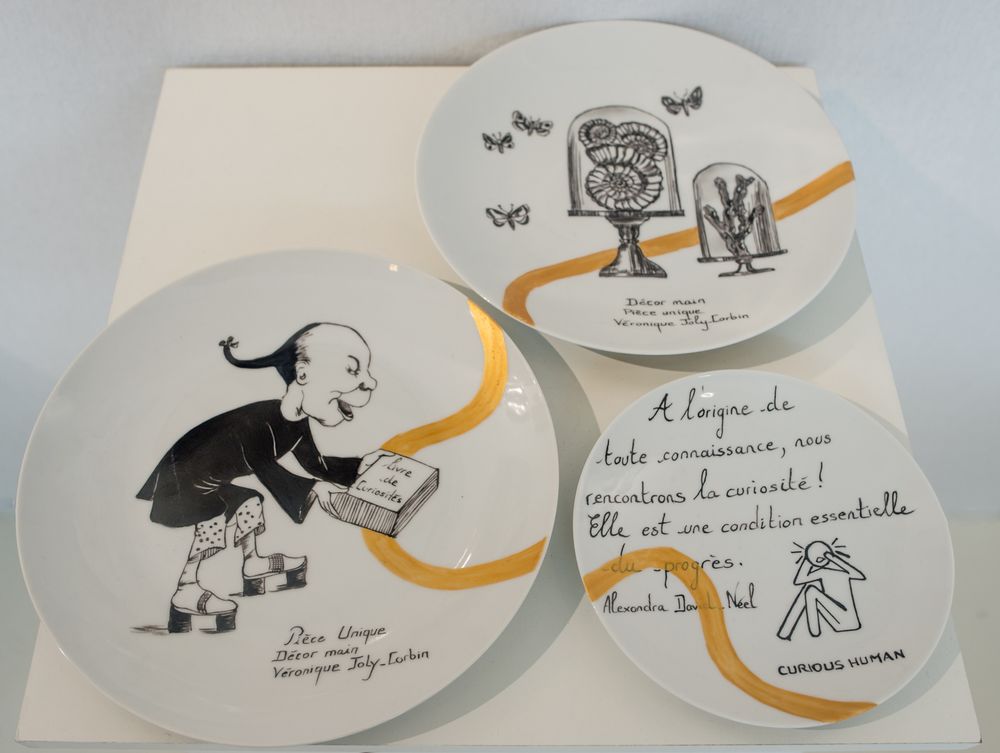 Other wall decoration - Wall installation of illustrated plates CURIOSITE - VERONIQUE JOLY-CORBIN