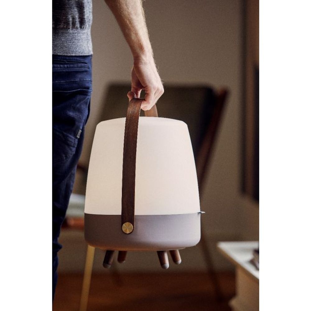 Speakers and radios - Lite - UP Play Light Rose Speaker - KOODUU
