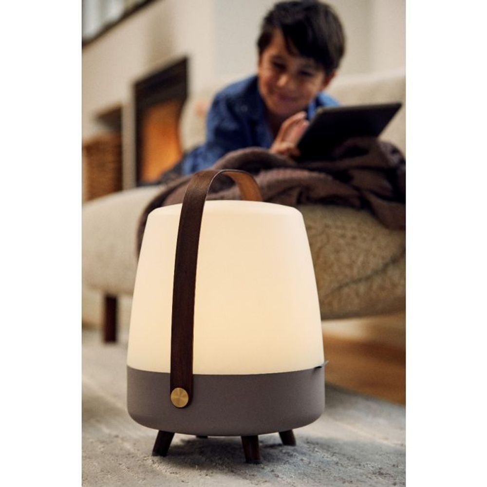 Speakers and radios - Lite - UP Play Light Rose Speaker - KOODUU
