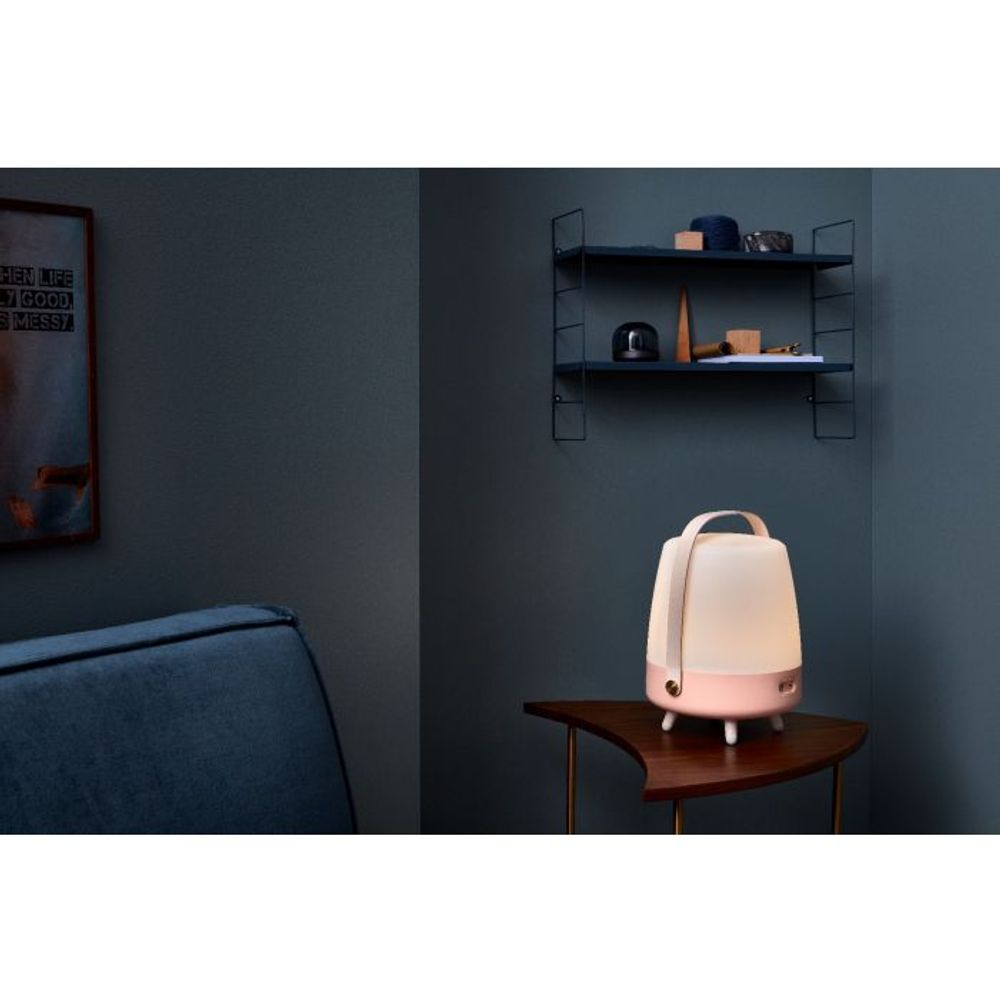 Speakers and radios - Lite - UP Play Light Rose Speaker - KOODUU