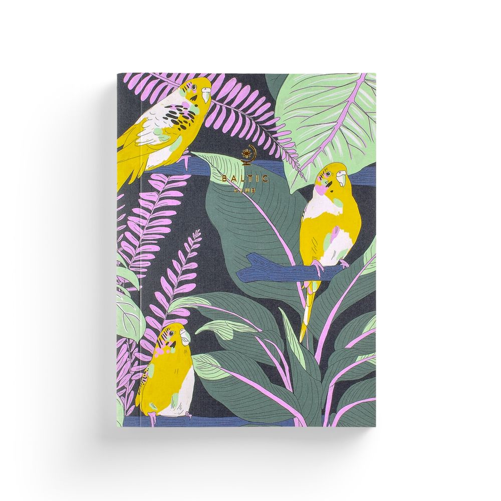 Stationery - AGATHE SINGER Cushions - ATOMIC SODA