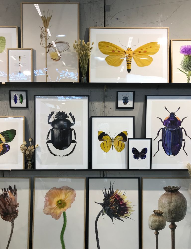 Frames - Framed art prints - LILJEBERGS