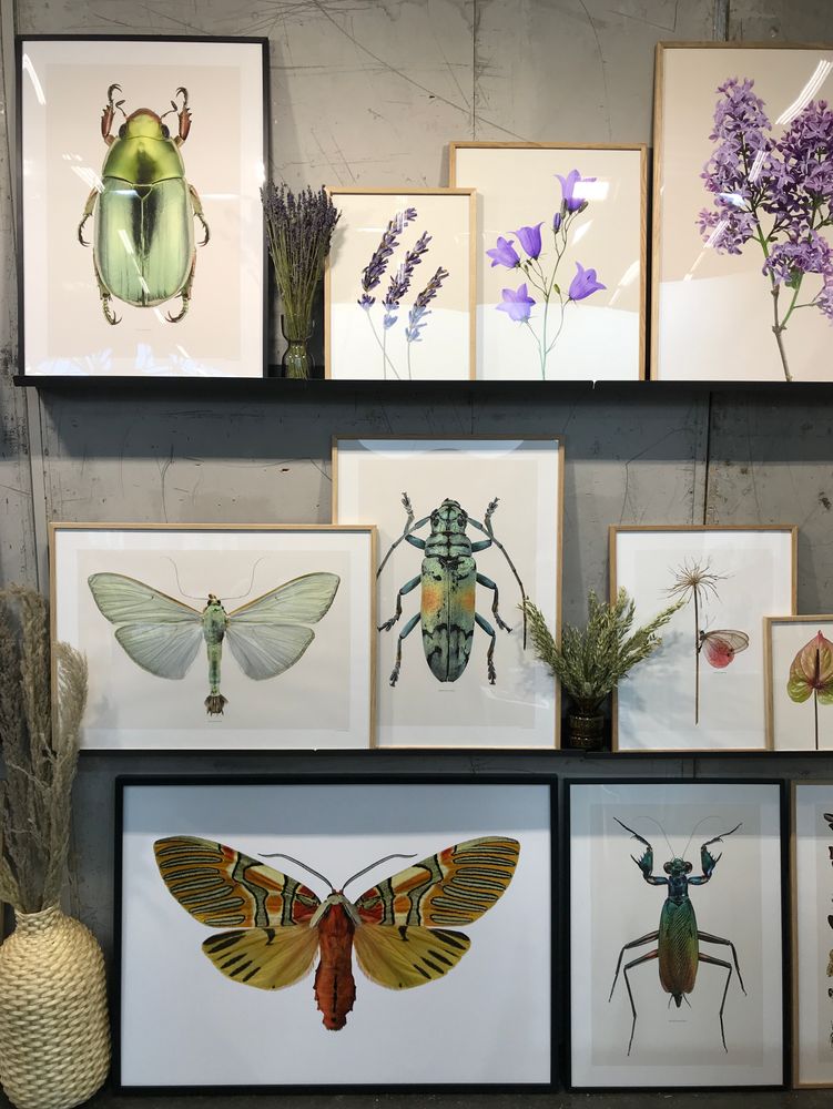 Frames - Framed art prints - LILJEBERGS