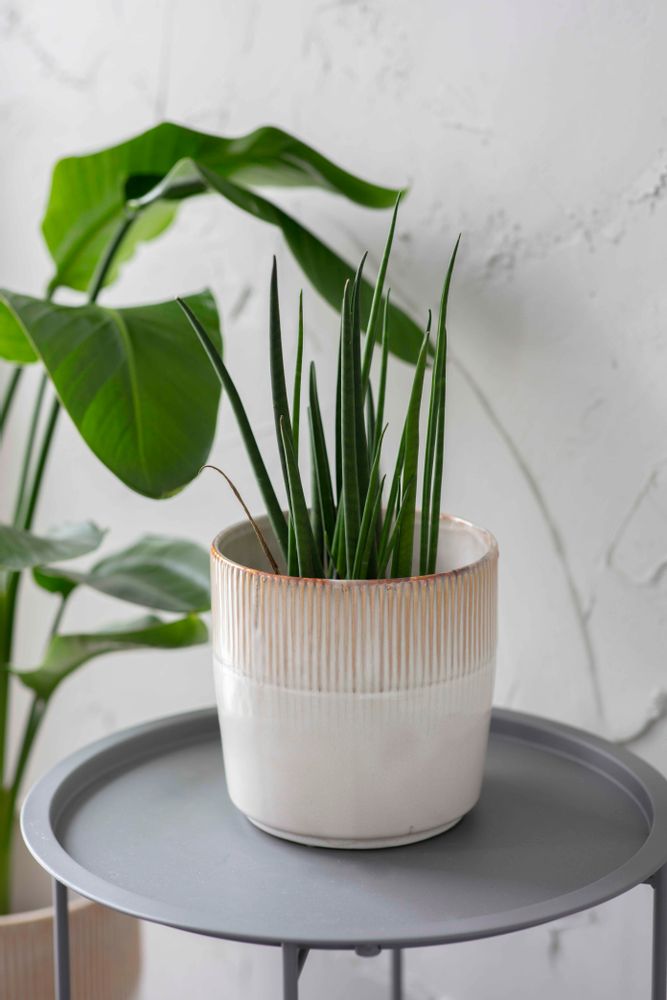 Vases - Hillesley Pot - GARDEN TRADING