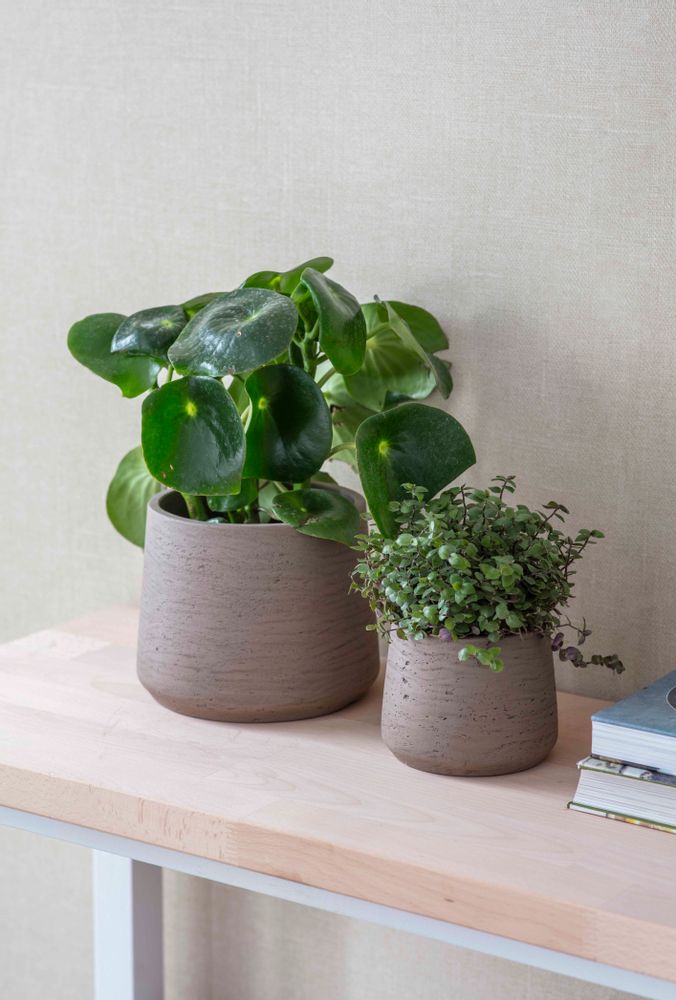 Pottery - Stratton Pot - GARDEN TRADING