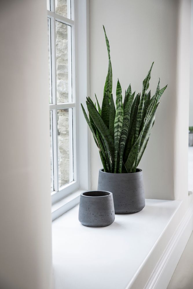 Pottery - Stratton Pot - GARDEN TRADING