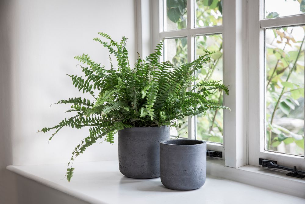 Pottery - Stratton Pot - GARDEN TRADING
