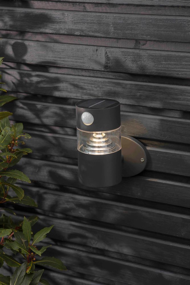 Outdoor wall lamps - Putney Solar Wall Light - GARDEN TRADING