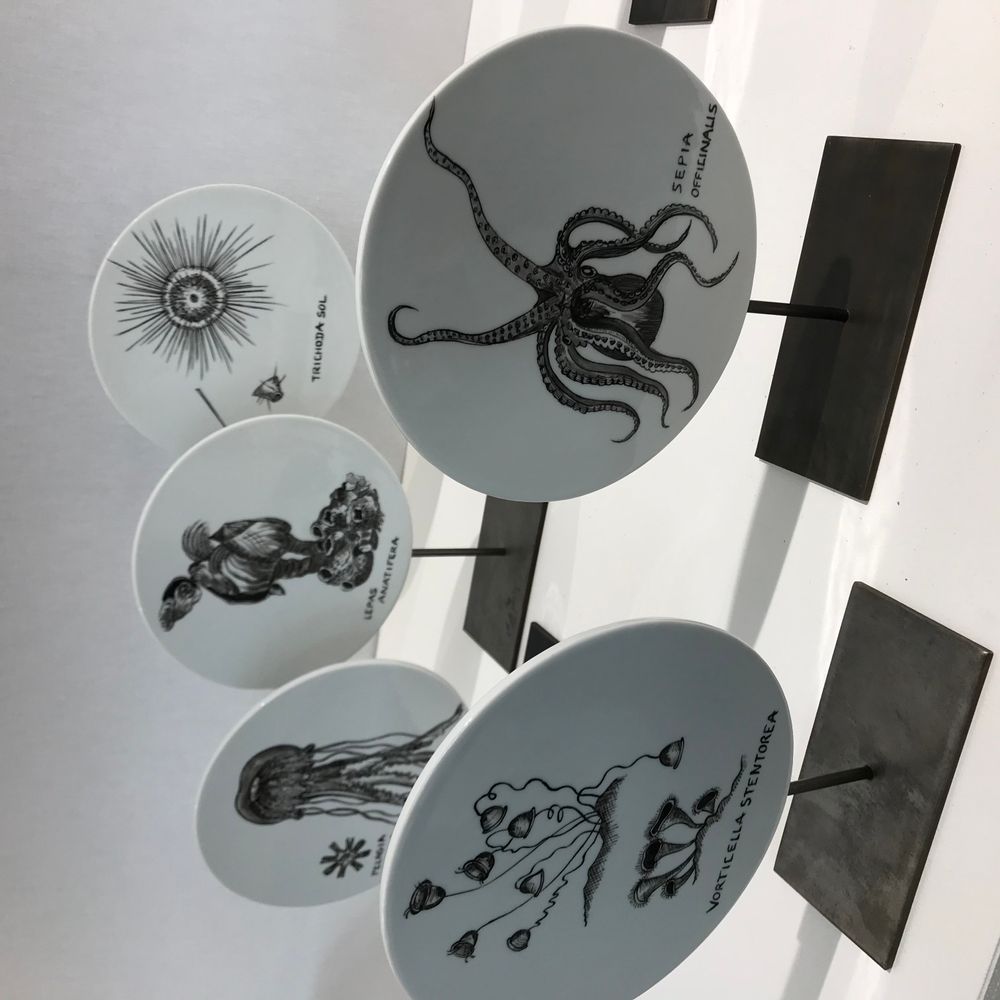 Sculptures, statuettes and miniatures - FOSSIL Curiosity Disc - Pelagia Cyanella - VERONIQUE JOLY-CORBIN