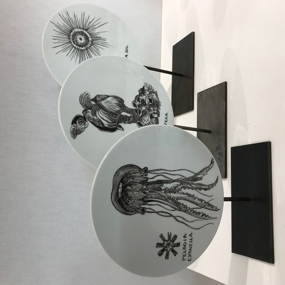 Sculptures, statuettes and miniatures - FOSSIL Curiosity Disc - Pelagia Cyanella - VERONIQUE JOLY-CORBIN