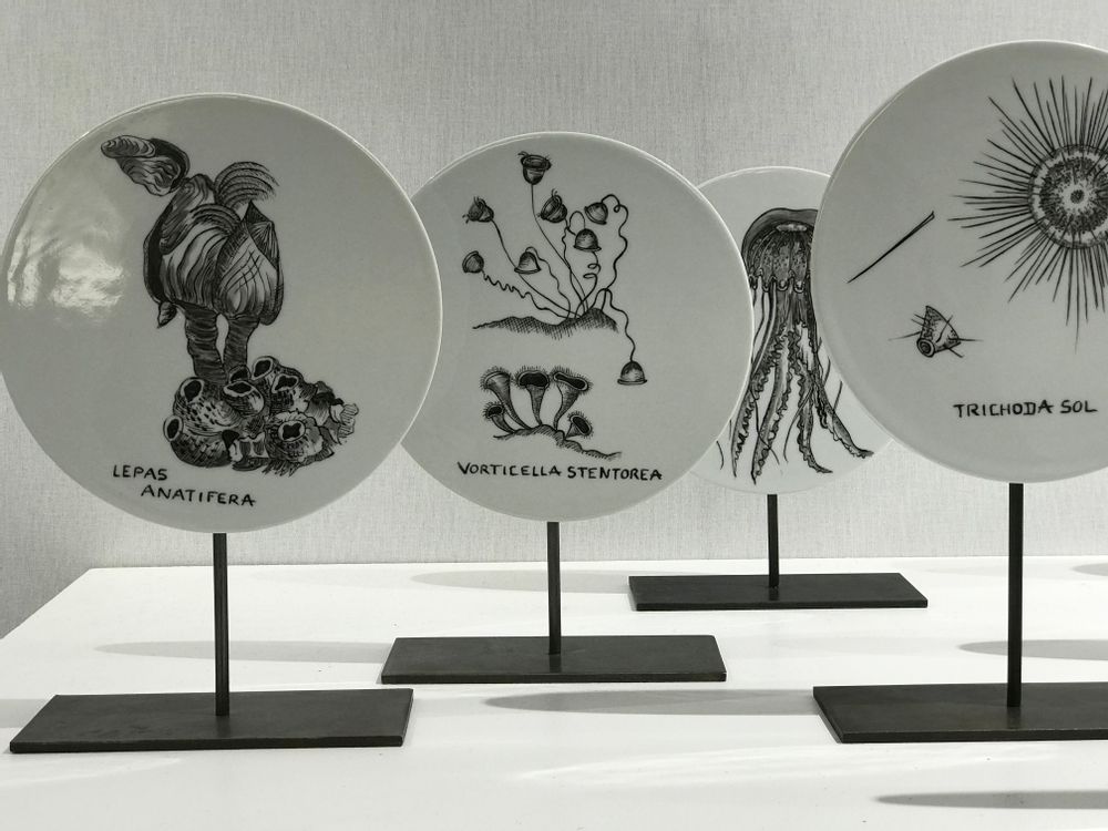 Sculptures, statuettes and miniatures - FOSSIL Curiosity Disc - Pelagia Cyanella - VERONIQUE JOLY-CORBIN