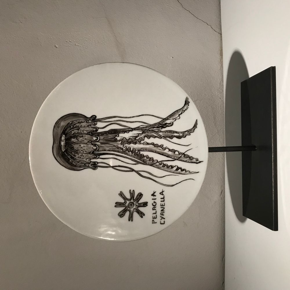 Sculptures, statuettes and miniatures - FOSSIL Curiosity Disc - Pelagia Cyanella - VERONIQUE JOLY-CORBIN