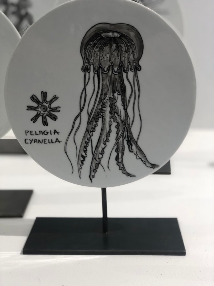 Sculptures, statuettes and miniatures - FOSSIL Curiosity Disc - Pelagia Cyanella - VERONIQUE JOLY-CORBIN