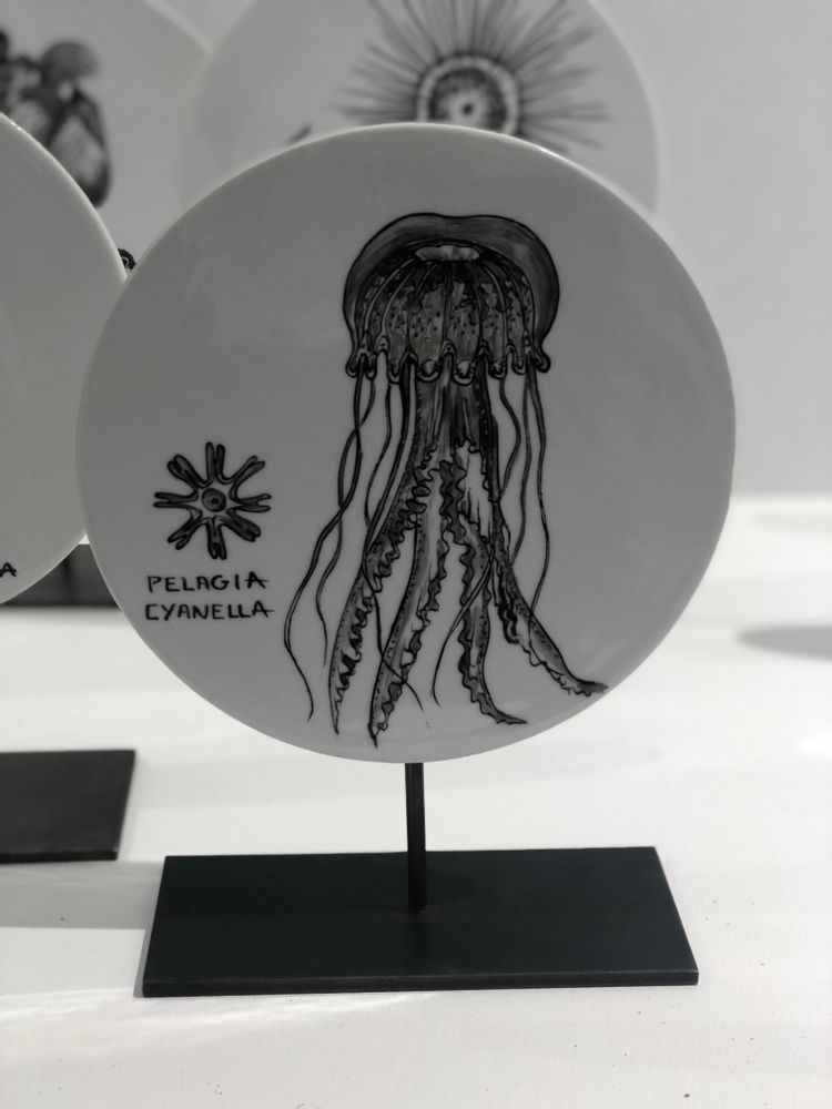 Sculptures, statuettes and miniatures - FOSSIL Curiosity Disc - Pelagia Cyanella - VERONIQUE JOLY-CORBIN