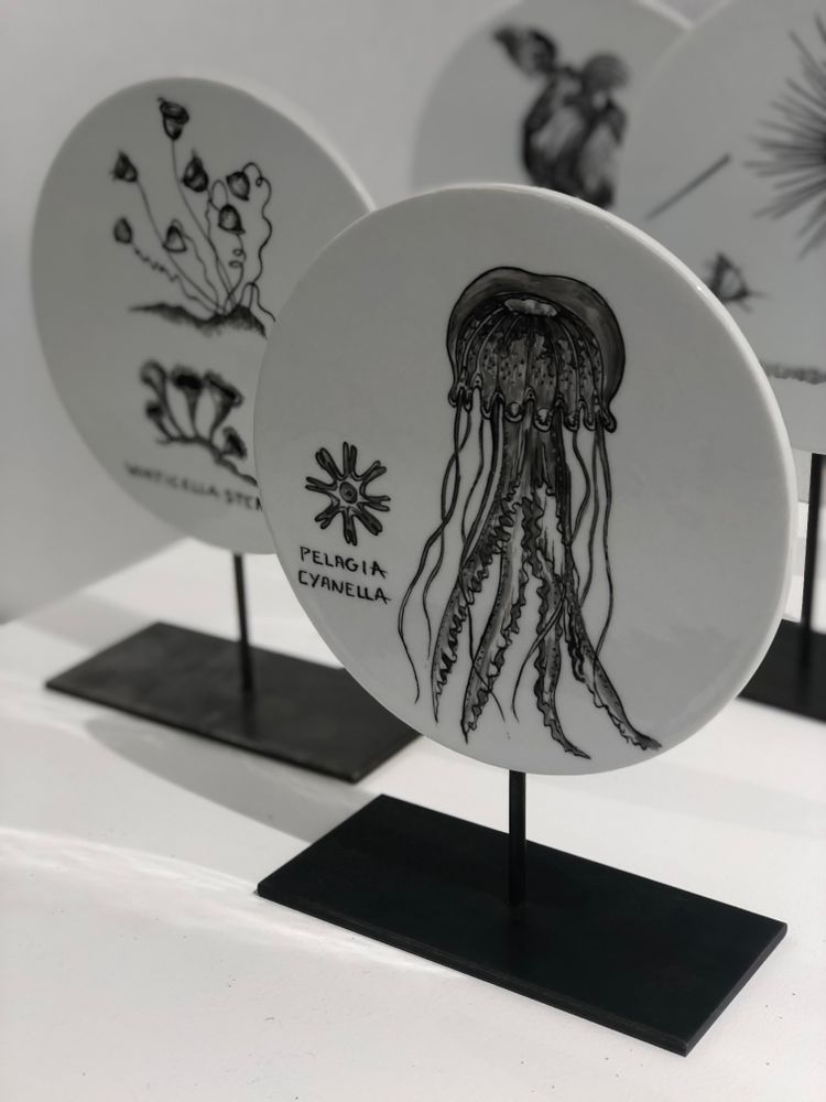 Sculptures, statuettes and miniatures - FOSSIL Curiosity Disc - Pelagia Cyanella - VERONIQUE JOLY-CORBIN