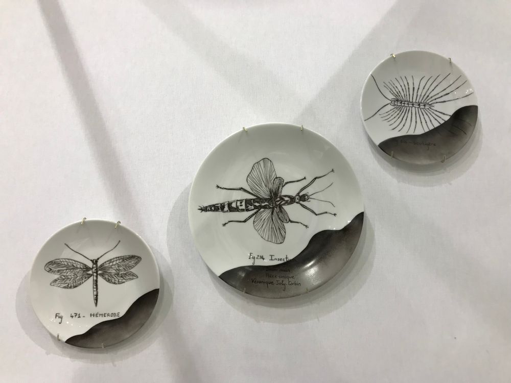Decorative objects - Wall installation of illustrated plates INSECTS - VERONIQUE JOLY-CORBIN