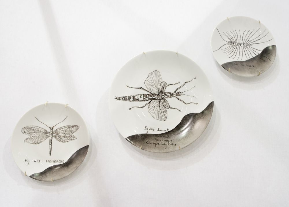 Decorative objects - Wall installation of illustrated plates INSECTS - VERONIQUE JOLY-CORBIN