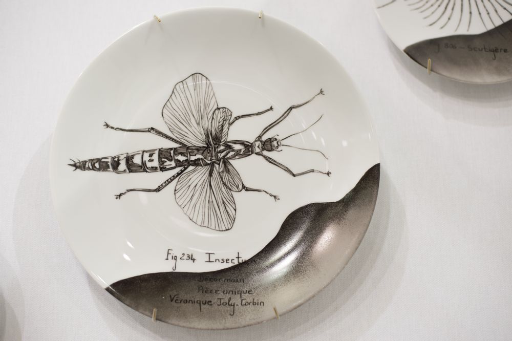 Decorative objects - Wall installation of illustrated plates INSECTS - VERONIQUE JOLY-CORBIN