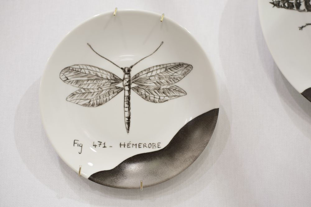Decorative objects - Wall installation of illustrated plates INSECTS - VERONIQUE JOLY-CORBIN