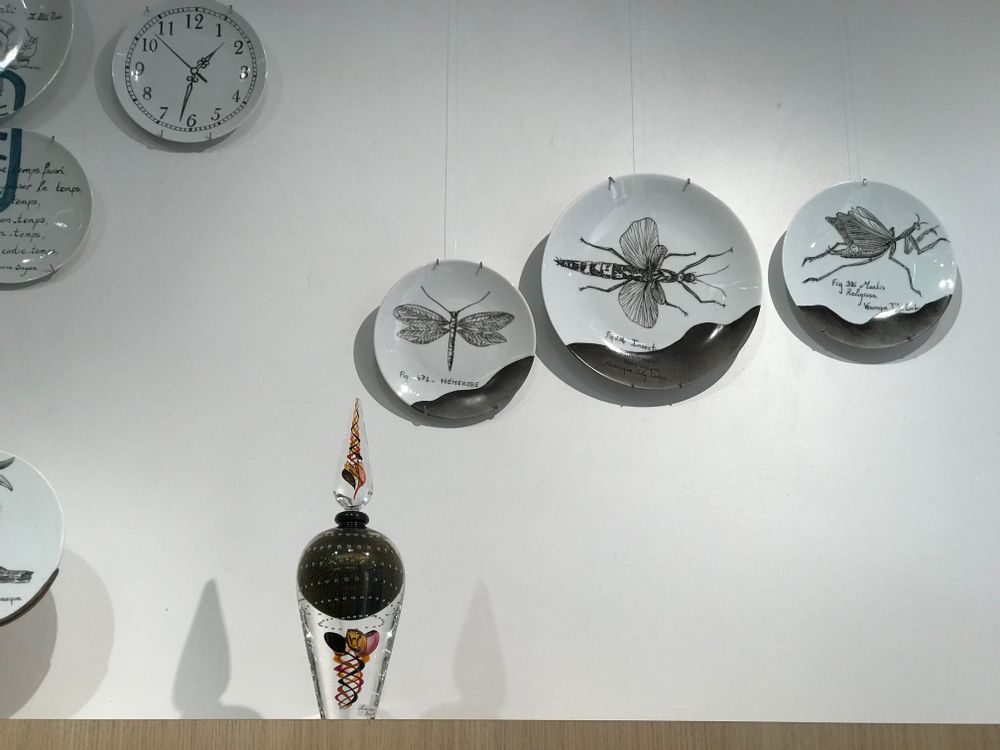 Decorative objects - Wall installation of illustrated plates INSECTS - VERONIQUE JOLY-CORBIN