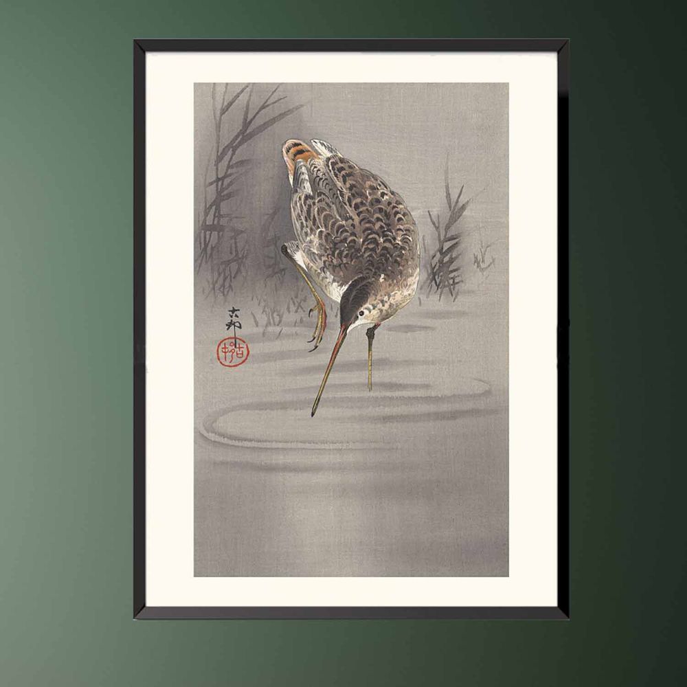 Affiches - Estampe japonaise oiseaux Bécassine solitaire de Ohara Koson prêt-à-encadrer 30x40 cm - BILLPOSTERS