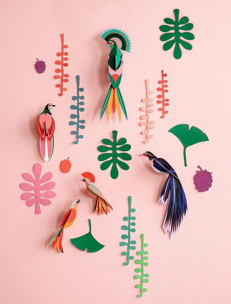 Other wall decoration - Wall of Curiosities, Bird Observer - STUDIO ROOF